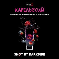 Табак для кальяна Darkside Shot Карельский Панч (Черника, Земляника, Малина) 30 гр